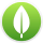 mongoDB icon