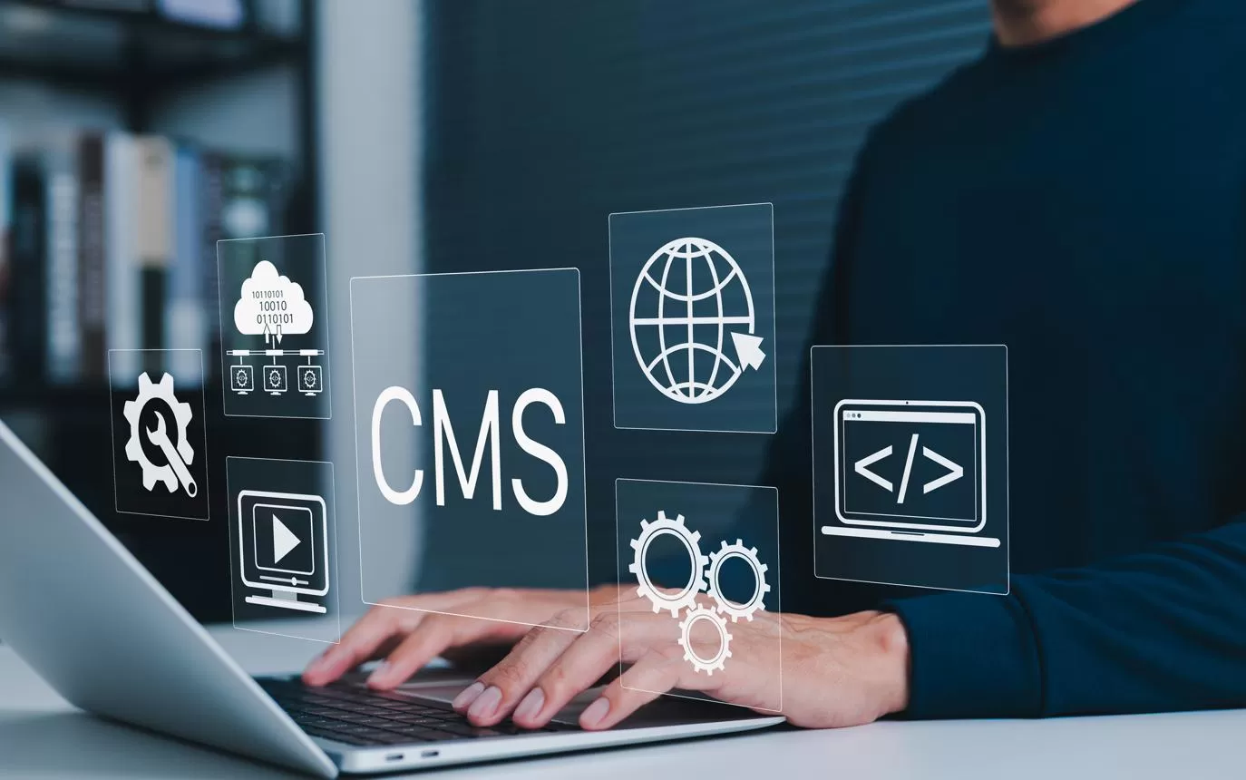 CMS development